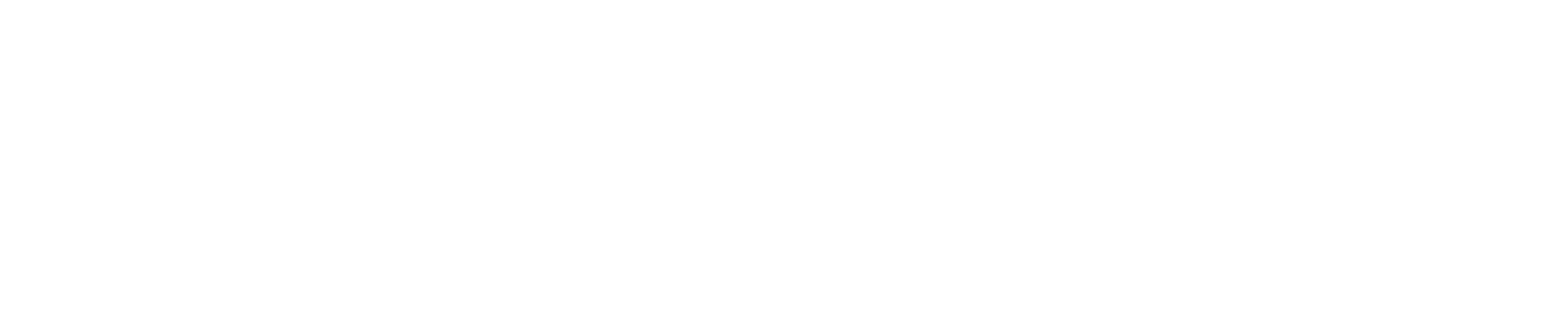 Bernhard Capital Partners Logo